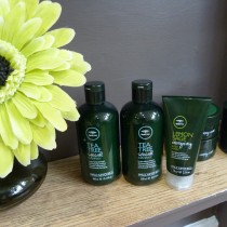 enzas hair taunton - hairdressing in somerset